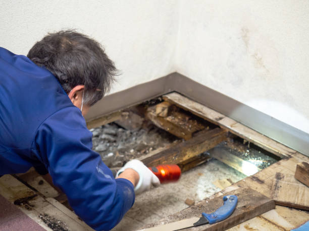 Crawl Space Mold Removal in Georgetown, CT