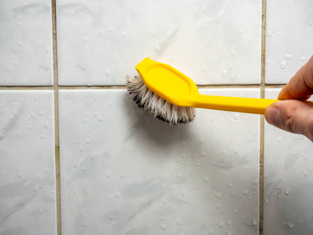 Best Office Mold Removal Services  in Georgetown, CT