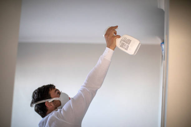 Best Black Mold Removal  in Georgetown, CT