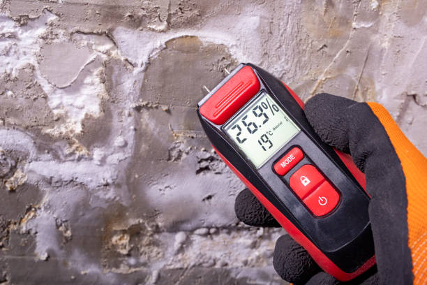 Best Home Mold Removal  in Georgetown, CT