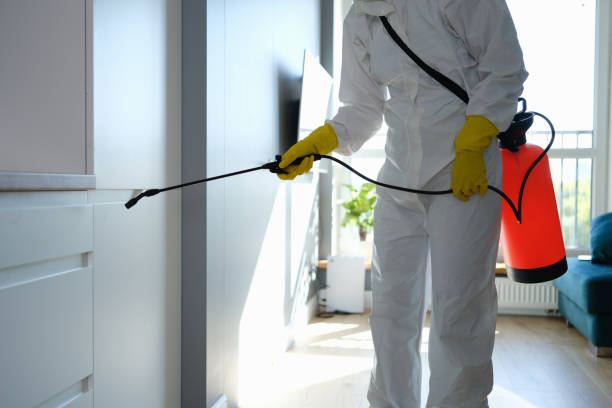 Certified Mold Removal in Georgetown, CT