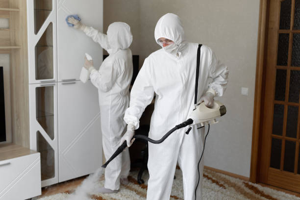 Best Crawl Space Mold Removal  in Georgetown, CT